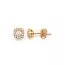 Kultaiset korvakorut 5,5 mm X-XXSZE0064-FCZ-1