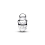 Pandora Seal Charm 794146C01