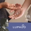 Lupaus kaulakoru 212-LUPAUS-3